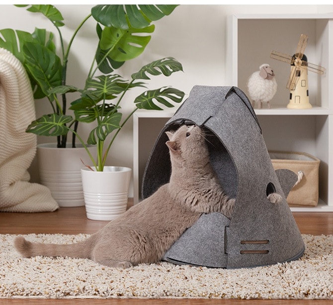 MYZOO �ޥ����� ǭ�ѥ٥å� NEKOSHARK �ͥ����㡼��