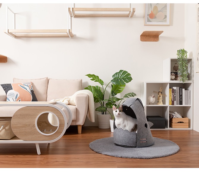 MYZOO �ޥ����� ǭ�ѥ٥å� NEKOSHARK �ͥ����㡼��