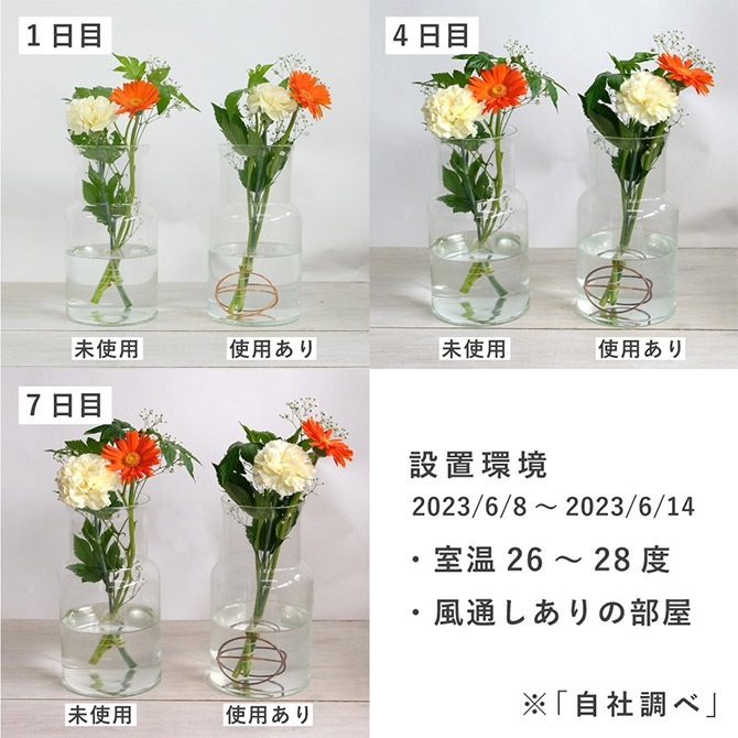 shesay ������ �ڤ�֤�Ĺ�����줤���ݤĤ��Ȥ��Ǥ��� Ƽ�Υե��饤�ե�������� L