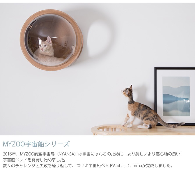 MYZOO �ޥ����� Spaceship Gamma Wood ������ ����� ���å�