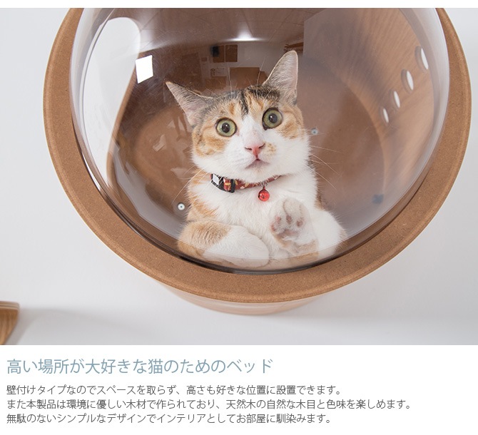 MYZOO �ޥ����� Spaceship Gamma Wood ������ ����� ���å�