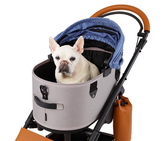 AIRBUGGY �����Х��� DOME3 �ե졼�ॻ�å� �쥮��顼