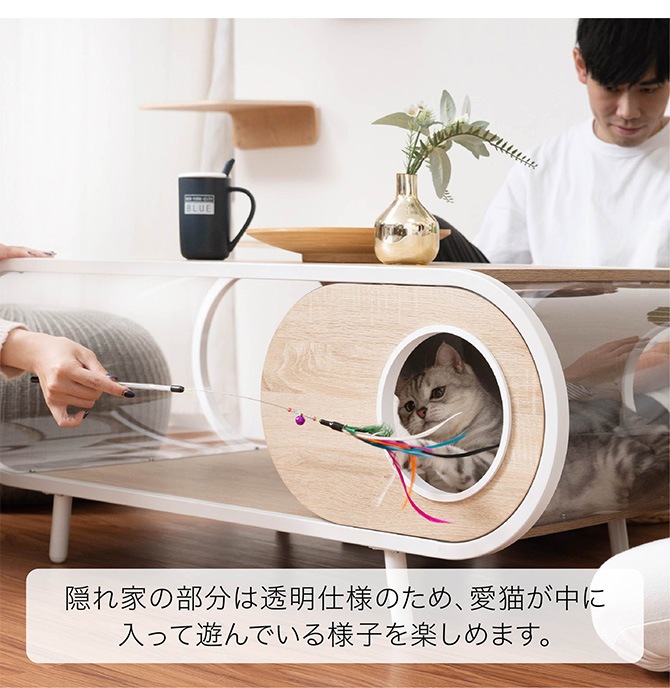 MYZOO �ޥ����� Cosmos