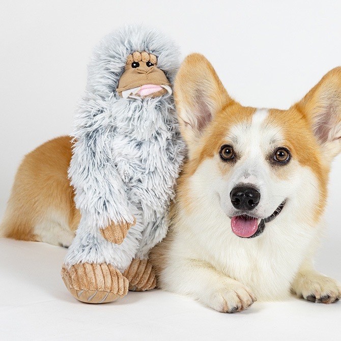 TALL TAILS ȡ ƥ륺  ȥ ƥ