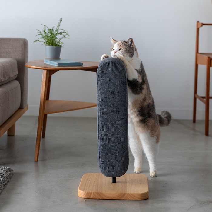 Fumi �ե� ǭ����餷�ޤȤ� ���ѥ��С�