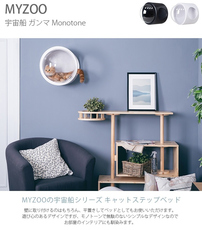 MYZOO �ޥ����� Spaceship Gamma Monotone ������ ����� ��Υȡ���