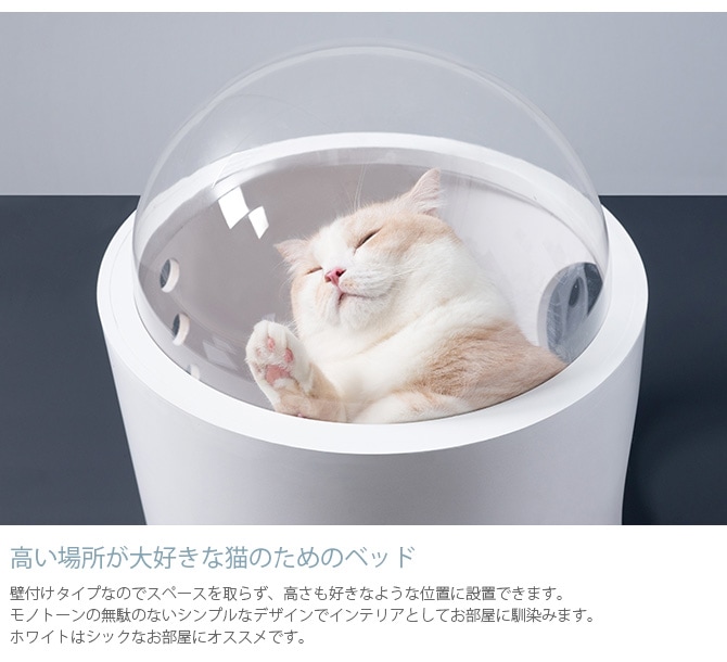 MYZOO �ޥ����� Spaceship Gamma Monotone ������ ����� ��Υȡ���