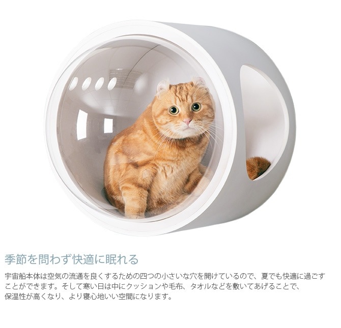 MYZOO �ޥ����� Spaceship Gamma Monotone ������ ����� ��Υȡ���