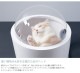 MYZOO �ޥ����� Spaceship Gamma Monotone ������ ����� ��Υȡ���