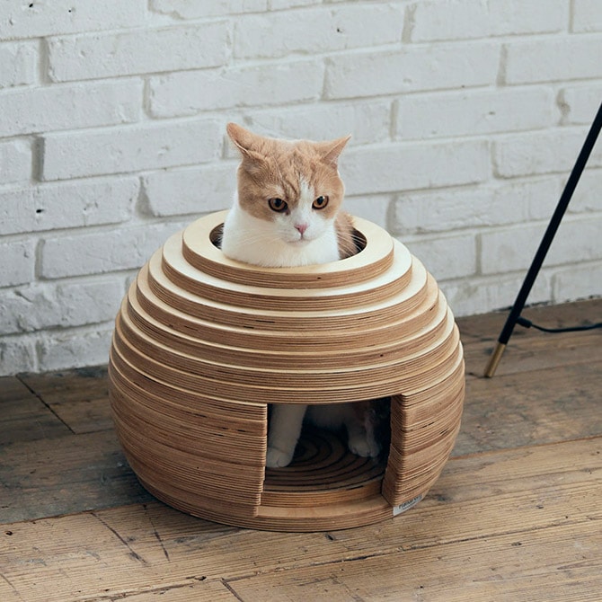 1_000000009753.jpg?1678209906