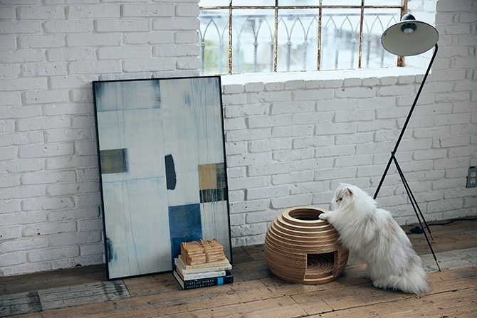 FrancePet �ե�󥹥ڥå� PE05 �ͤ��ϥ��� �ޤ�