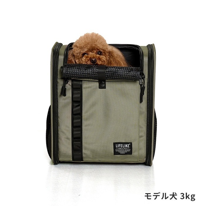 LIFELIKE �饤�ե饤�� �ե�����ɥ����Х������륭��꡼