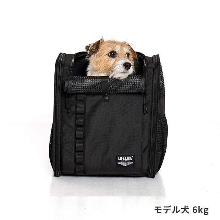 LIFELIKE �饤�ե饤�� �ե�����ɥ����Х������륭��꡼