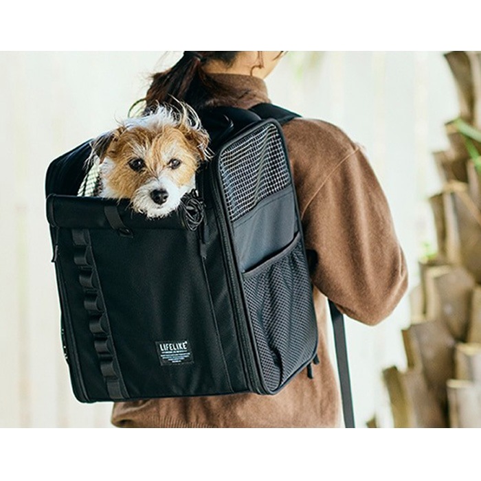 LIFELIKE �饤�ե饤�� �ե�����ɥ����Х������륭��꡼