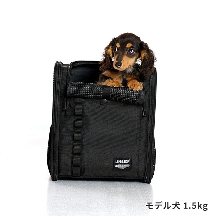 LIFELIKE �饤�ե饤�� �ե�����ɥ����Х������륭��꡼