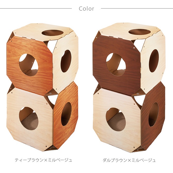 Gari Gari Shelf Interior ���ꥬ�ꥷ����� ����ƥꥢ