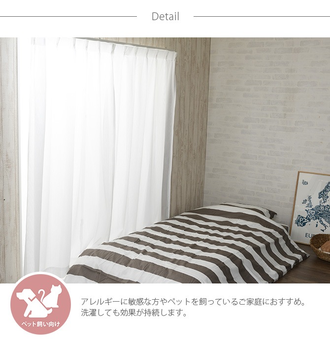 ��ʴ����å� �졼�������ƥ� ��100�߾�213��238cm 2����