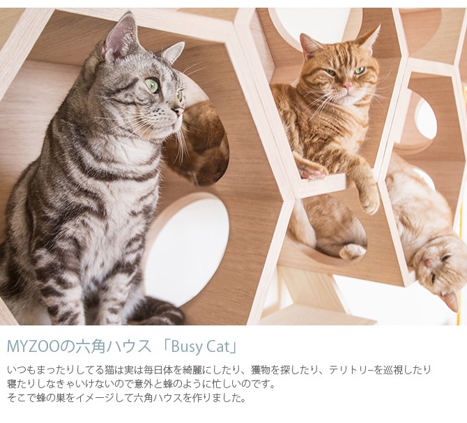 MYZOO �ޥ����� Busy cat ϻ�ѥϥ��� Wood ���å�