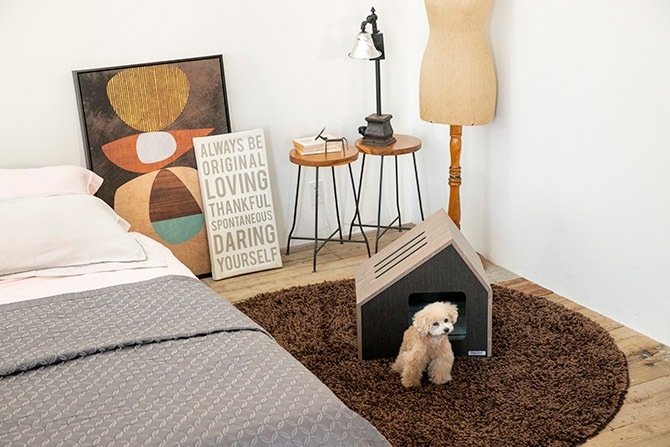 FrancePet �ե�󥹥ڥå� PE07 PET�ϥ������ե������� S