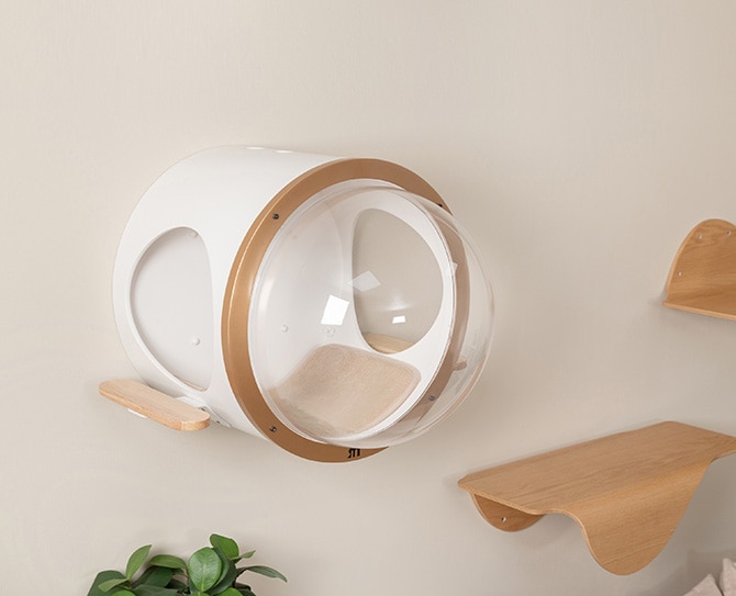 MYZOO �ޥ����� SPACETECH ��ȿȯ�ޥåȥ쥹 S