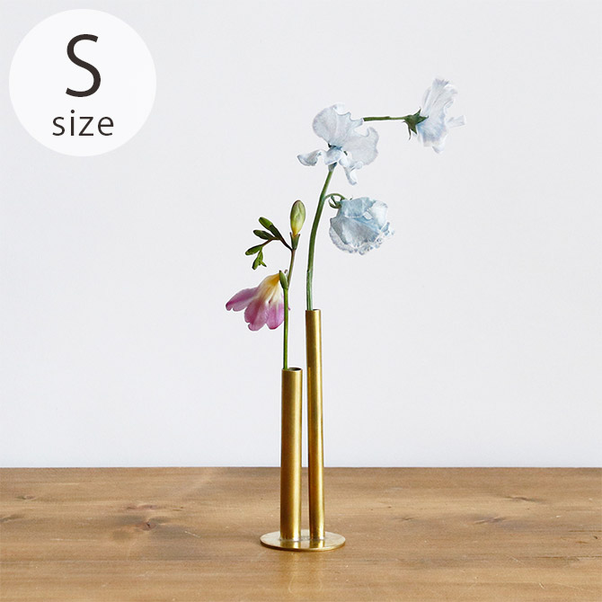 shesay ������ �⤵�ΰۤʤ륷���������¤�� BRASS�Υե��١��� S