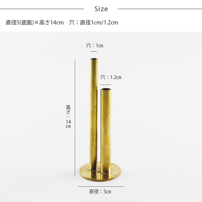 shesay ������ �⤵�ΰۤʤ륷���������¤�� BRASS�Υե��١��� S