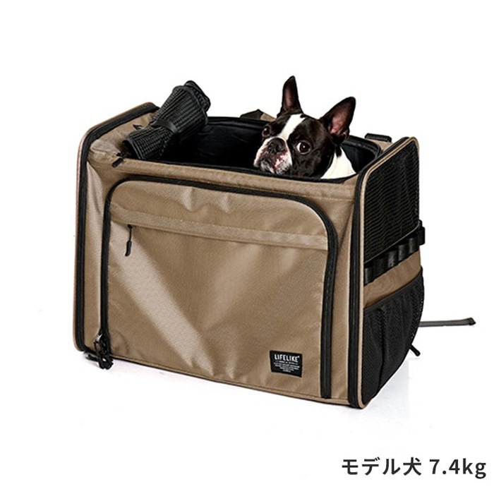 LIFELIKE �饤�ե饤�� �ݥ����㡼�Хå��ѥå�