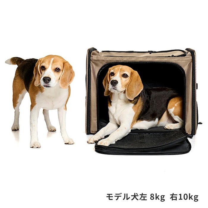 LIFELIKE �饤�ե饤�� �ݥ����㡼�Хå��ѥå�