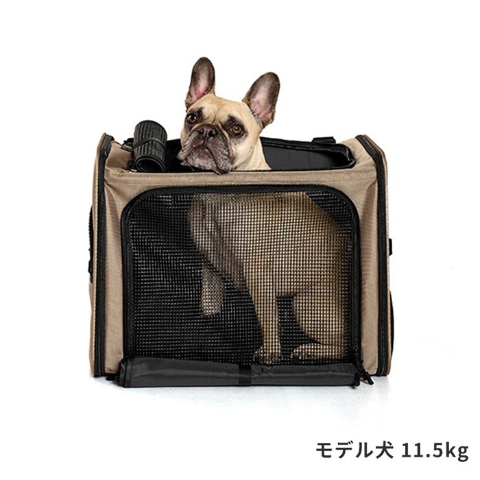 LIFELIKE �饤�ե饤�� �ݥ����㡼�Хå��ѥå�