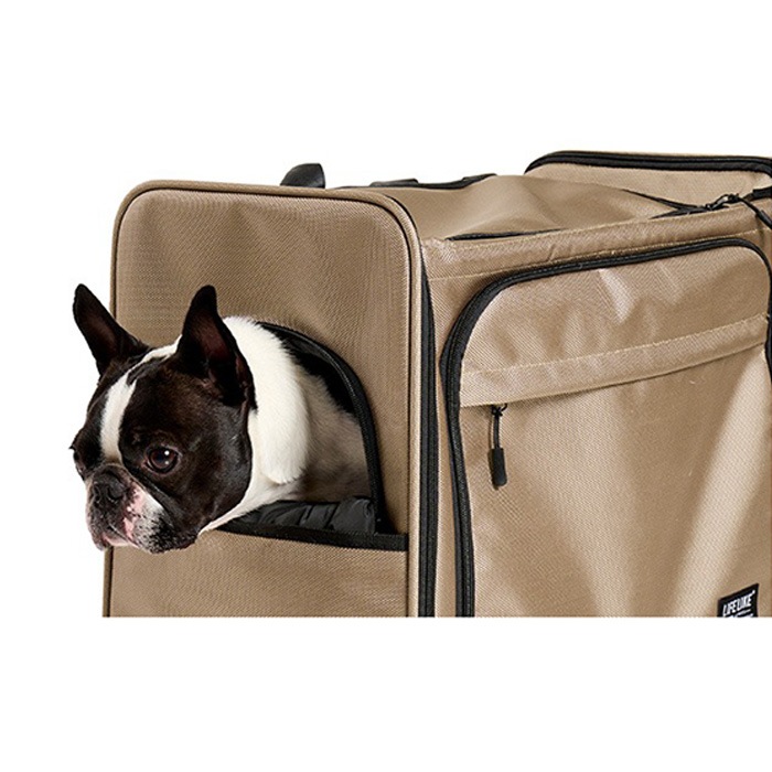 LIFELIKE �饤�ե饤�� �ݥ����㡼�Хå��ѥå�