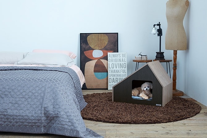 FrancePet �ե�󥹥ڥå� PE07 PET�ϥ������ե������� M