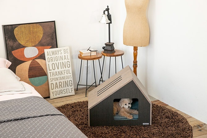 FrancePet �ե�󥹥ڥå� PE07 PET�ϥ������ե������� M