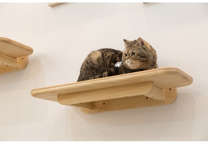 MYZOO �ޥ����� ����åȥ��ƥå� CORK ���륯