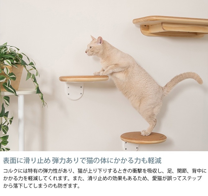 MYZOO �ޥ����� ����åȥ��ƥå� CORK ���륯