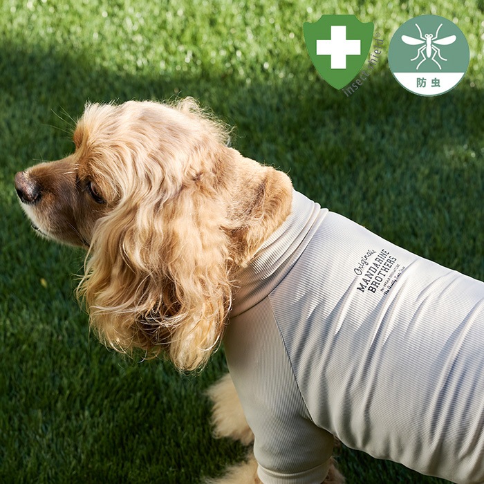 MANDARINE BROTHERS �ޥ�����֥饶���� ���󥻥��ȥ������ �����󥿥��ȥ�����T����� XS��S