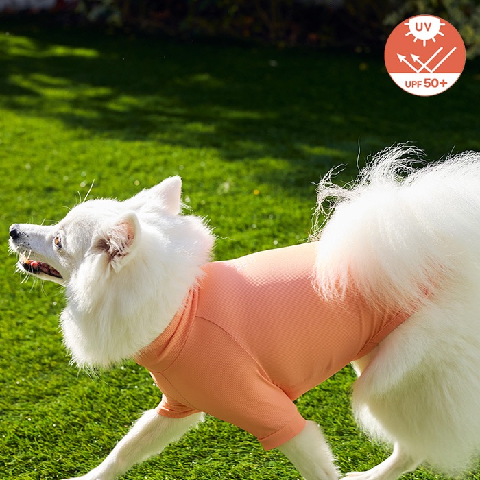 MANDARINE BROTHERS �ޥ�����֥饶���� ���󥻥��ȥ������ �����󥿥��ȥ�����T����� XS��S