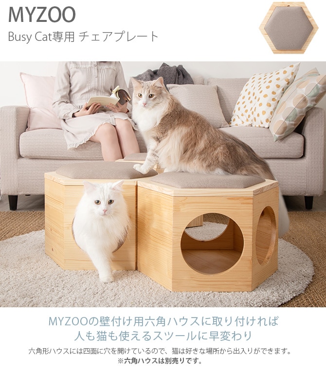 MYZOO �ޥ����� Busy Cat���� Chair Plate �������ץ졼��