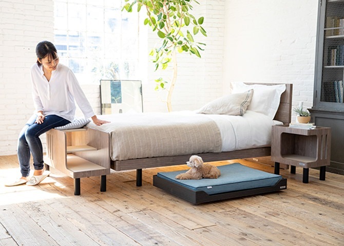 FrancePet �ե�󥹥ڥå� PE09 PET�٥åɥ若�󥤥�