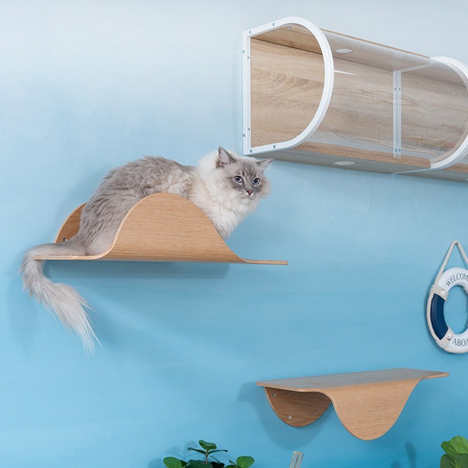 MYZOO �ޥ����� Stingray ñ��