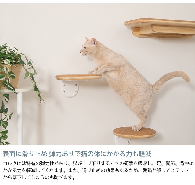 MYZOO �ޥ����� ����åȥ��ƥå� CORK-R ���륯-R