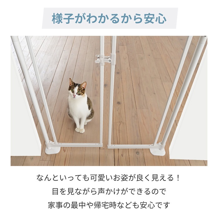 Wanyanya ��ˤ�ˤ� �ˤ��ɥ����ꥢ�ѥͥ�