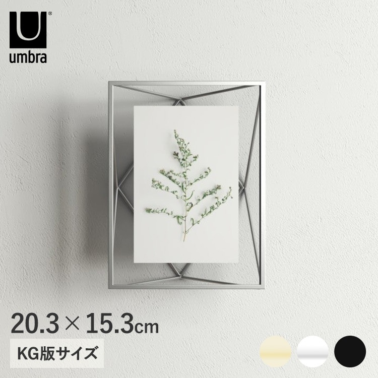 Umbra ֥ ץꥺ եȥǥץ쥤 46
