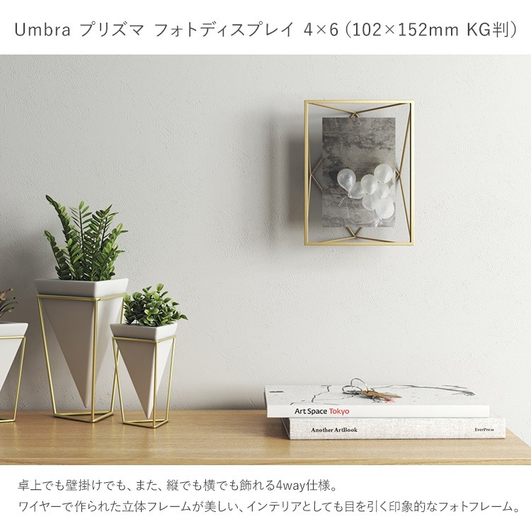 Umbra ֥ ץꥺ եȥǥץ쥤 46