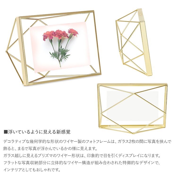 Umbra ֥ ץꥺ եȥǥץ쥤 46