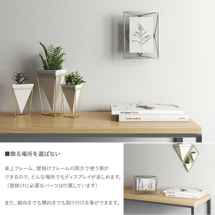 Umbra ֥ ץꥺ եȥǥץ쥤 46