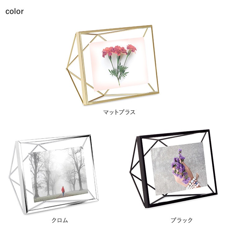 Umbra ֥ ץꥺ եȥǥץ쥤 46