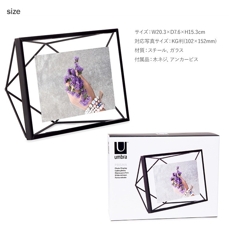 Umbra ֥ ץꥺ եȥǥץ쥤 46