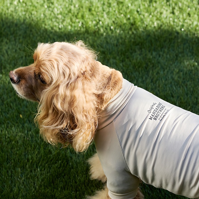 MANDARINE BROTHERS �ޥ�����֥饶���� ���󥻥��ȥ������ �����󥿥��ȥ�����T����� M��MD��L