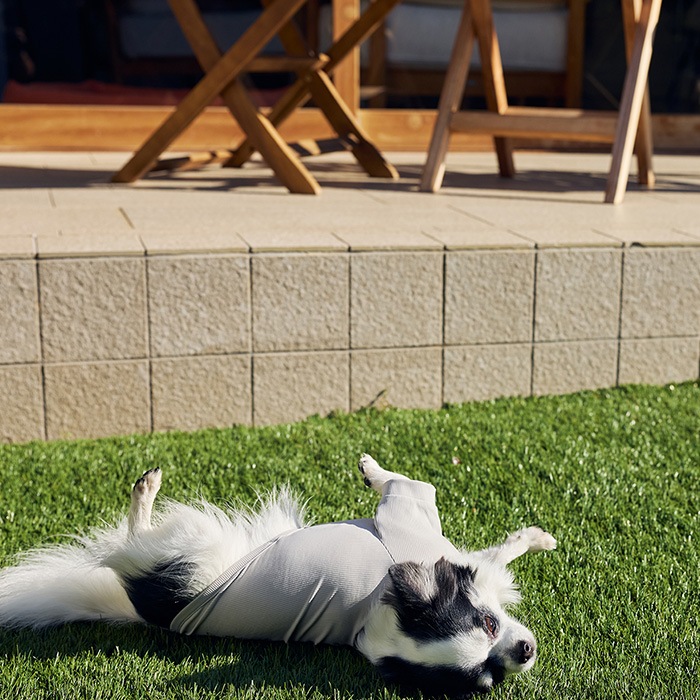 MANDARINE BROTHERS �ޥ�����֥饶���� ���󥻥��ȥ������ �����󥿥��ȥ�����T����� M��MD��L