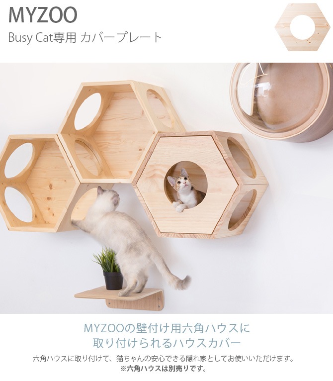 MYZOO �ޥ����� Busy Cat���� Cover Plate ���С��ץ졼��